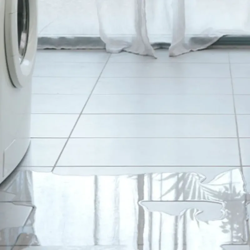Appliance Leak Cleanup in Henderson County, IL