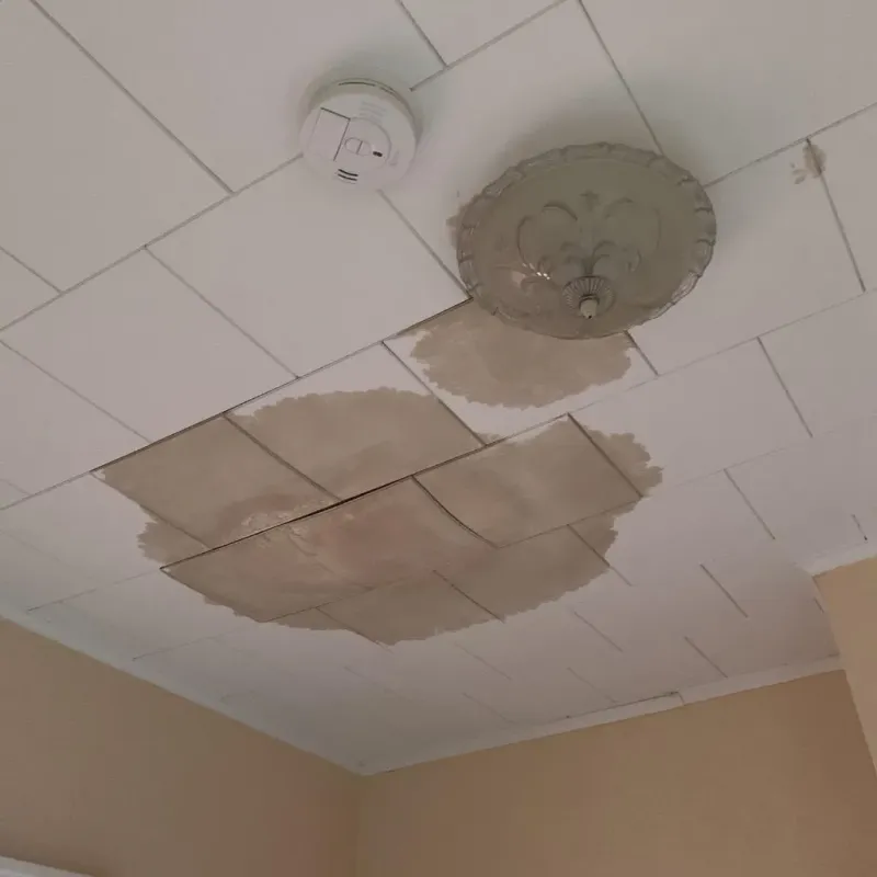Ceiling Water Damage Repair in Henderson County, IL