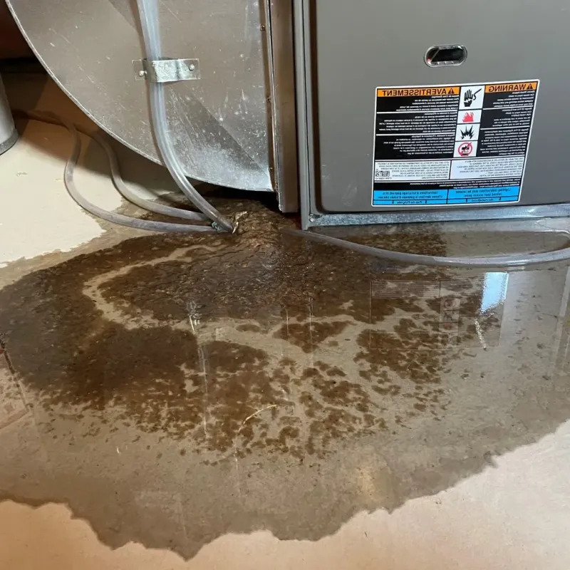 Pipe Burst and Leak Restoration in Henderson County, IL