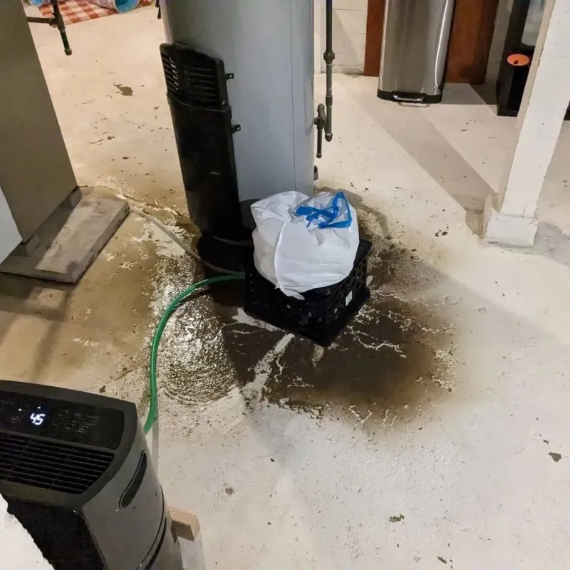 Sewage Backup Cleanup Service in Henderson County, IL